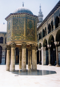 Taş Kalpli / Çiğdem Tavkul