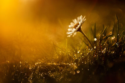 Yalnız ve Soğuk Ölüm 2 